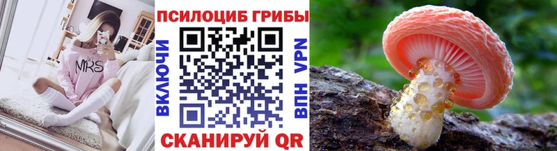 Псилоцибиновые грибы прущие грибы  Балахна 